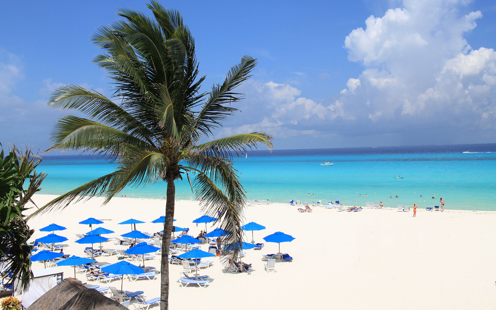 The Reef Playacar Beach Resort Spa All Inclusive Riviera Maya The Reef Playacar Beach Resort Spa